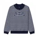 Alpha Xi Delta Striped Overview Design PR Sweater 2