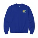 Alpha Chi Mountain Graphic Winter Formal Crewneck 2