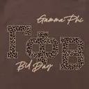 Gamma Phi Leopard Print Stacked Text Rush Hoodie