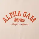 Alpha Gamma Delta Desert Landscape PR Sweater