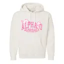 Alpha Omicron Pi Donut Graphic Philanthropy Hoodie 2