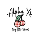 Alpha Xi Delta Gingham Cherry Big Little Reveal Tank