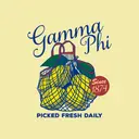 Gamma Phi Beta Lemons and Script PR Shirt