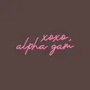 Alpha Gamma Delta Xoxo Script in Pink PR Hoodie