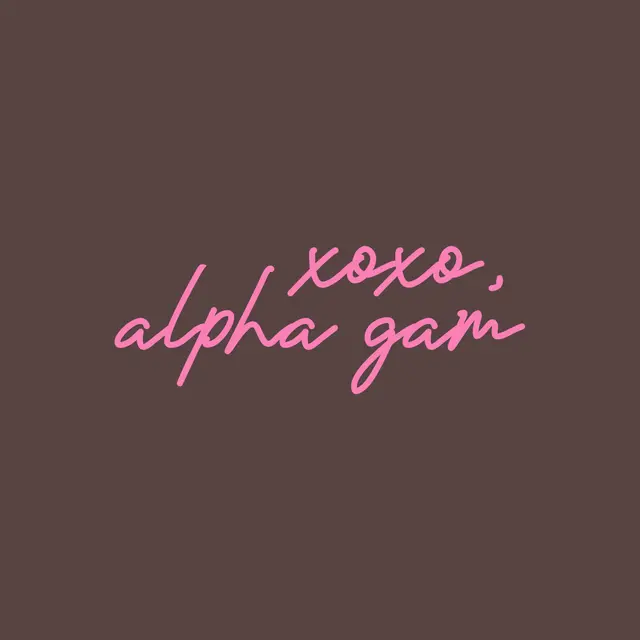 Alpha Gamma Delta Xoxo Script in Pink PR Hoodie