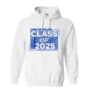 Hamilton College Bold CLASS OF 2025 PR & General Hoodie 2
