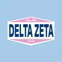 Delta Zeta Bold Framed Big Little Reveal Hoodie