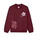 Pi Beta Phi Star Graphic PR Hoodie 2