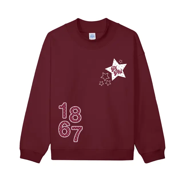 Pi Beta Phi Star Graphic PR Hoodie 2