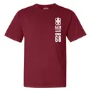 Pi Kappa Alpha Bold Logo and Year PR Shirt 2