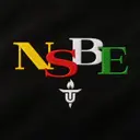 National Society of Black Engineers Colorful Lettering PR Hoodie