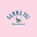 Gamma Phi Beta Bold Baseball Graphic Winter Recruitment Hoodie