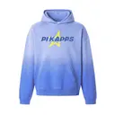 Pi Kappa Phi Star Design PR Hoodie 2