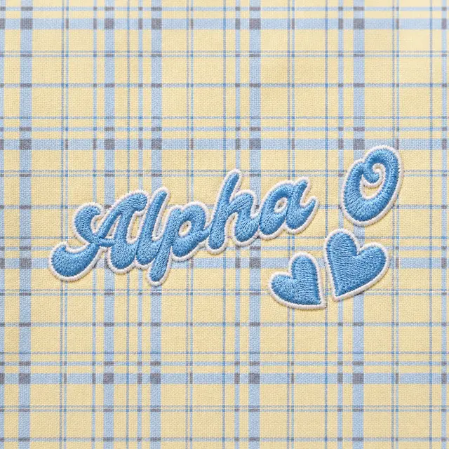 Alpha Omicron Pi Plaid Pattern Hand Drawn Lettering PR Tank