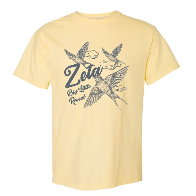 Zeta Tau Alpha Birds and Clouds Big Little Reveal Shirt 2