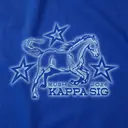 Kappa Sigma Galloping Horse Star Rush Shirt
