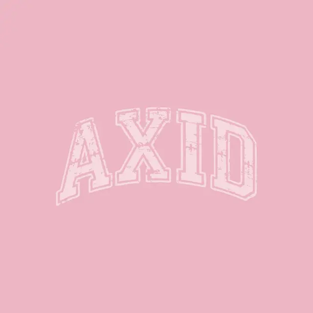 Alpha Xi Delta Distressed Block Lettering PR Sweater