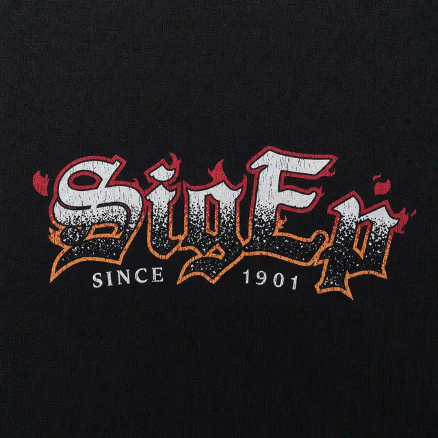 Sigma Phi Epsilon Vintage Script PR Hoodie