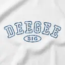 Delta Gamma Curved Text Big Little Reveal Hoodie