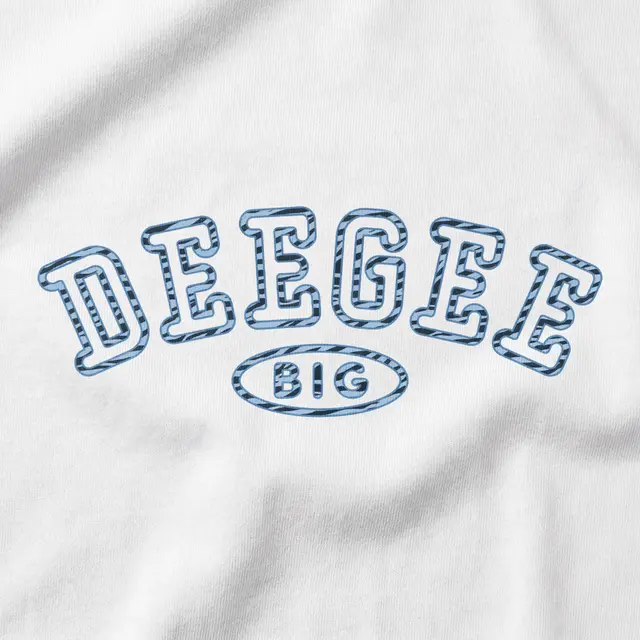 Delta Gamma Curved Text Big Little Reveal Hoodie