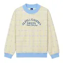 Alpha Gamma Delta Checker Pattern Floral Illustration Date Party Sweater 2