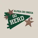Alpha Chi Omega Pennant and Leopard Stars PR Hoodie