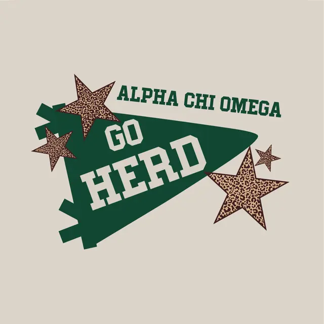 Alpha Chi Omega Pennant and Leopard Stars PR Hoodie