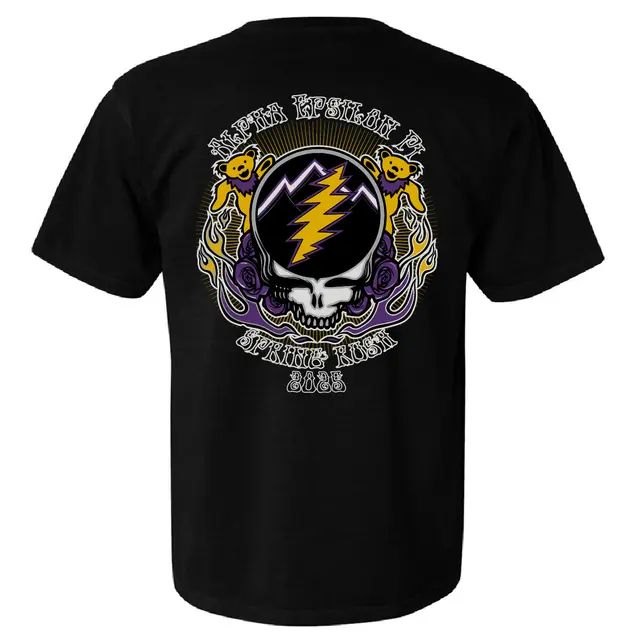 Fraternity Shirt with Alpha Epsilon Pi Thunder on Skull with Rose and Flame in Purple and Yellow Design on it