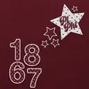 Pi Beta Phi Star Graphic PR Hoodie