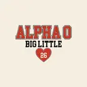Alpha Omicron Pi Block Letters and Heart Big Little Reveal Hoodie