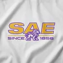 Sigma Alpha Epsilon Stacked Serif Text PR Hoodie