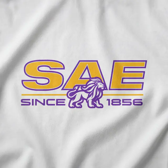 Sigma Alpha Epsilon Stacked Serif Text PR Hoodie