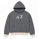 Delta Zeta Striped Lettered PR Hoodie 2