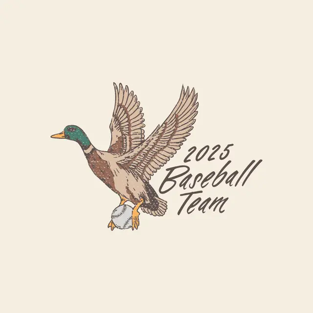 Baseball Team Flying Duck Illustration PR Hoodie