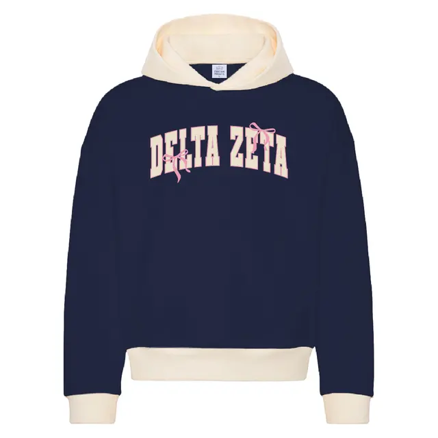 Delta Zeta Bow Accent Block Letter PR Hoodie 2