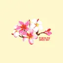 Pi Beta Phi Vibrant Floral Arrangement PR Tank