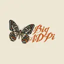 Alpha Delta Pi Butterfly Script Big Little Reveal Tank