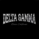 Delta Gamma Camo Block Letter PR Hoodie