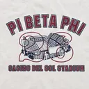 Pi Beta Phi Stadium Illustration Game Day Tank