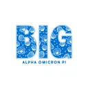 Alpha Omicron Pi Shell Pattern Big Little Reveal Shirt
