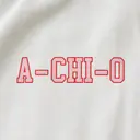 Alpha Chi Omega Bold Block Lettering PR Shorts