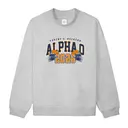 Alpha Omicron Pi Helmet Illustration Parents Weekend Sweater 2