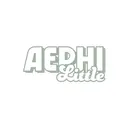 Alpha Epsilon Phi Block and Script Text Big Little Reveal Tank