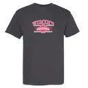 Women's Volleyball Bold Pink Text with Net PR Shirt 2