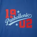 National Panhellenic Conference Bold Lettering PR Shirt