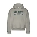 Sigma Delta Tau Stitched Text Game Day Hoodie 2