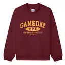 Delta Kappa Epsilon Cracked Text Game Day Crewneck 2