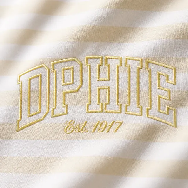 Delta Phi Epsilon Striped Lettering PR Shirt