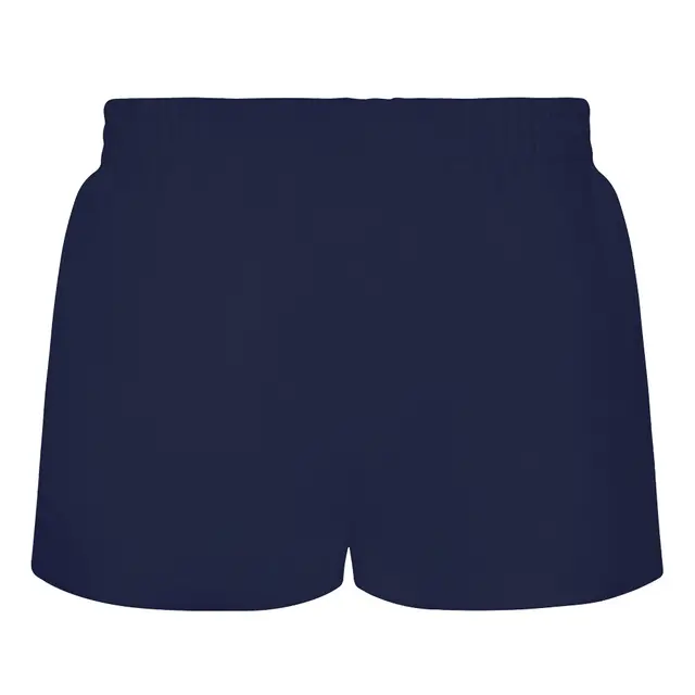 Fresh Prints Miami Shorts Navy Back