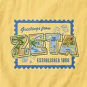Zeta Tau Alpha Tropical Illustration PR Sweater